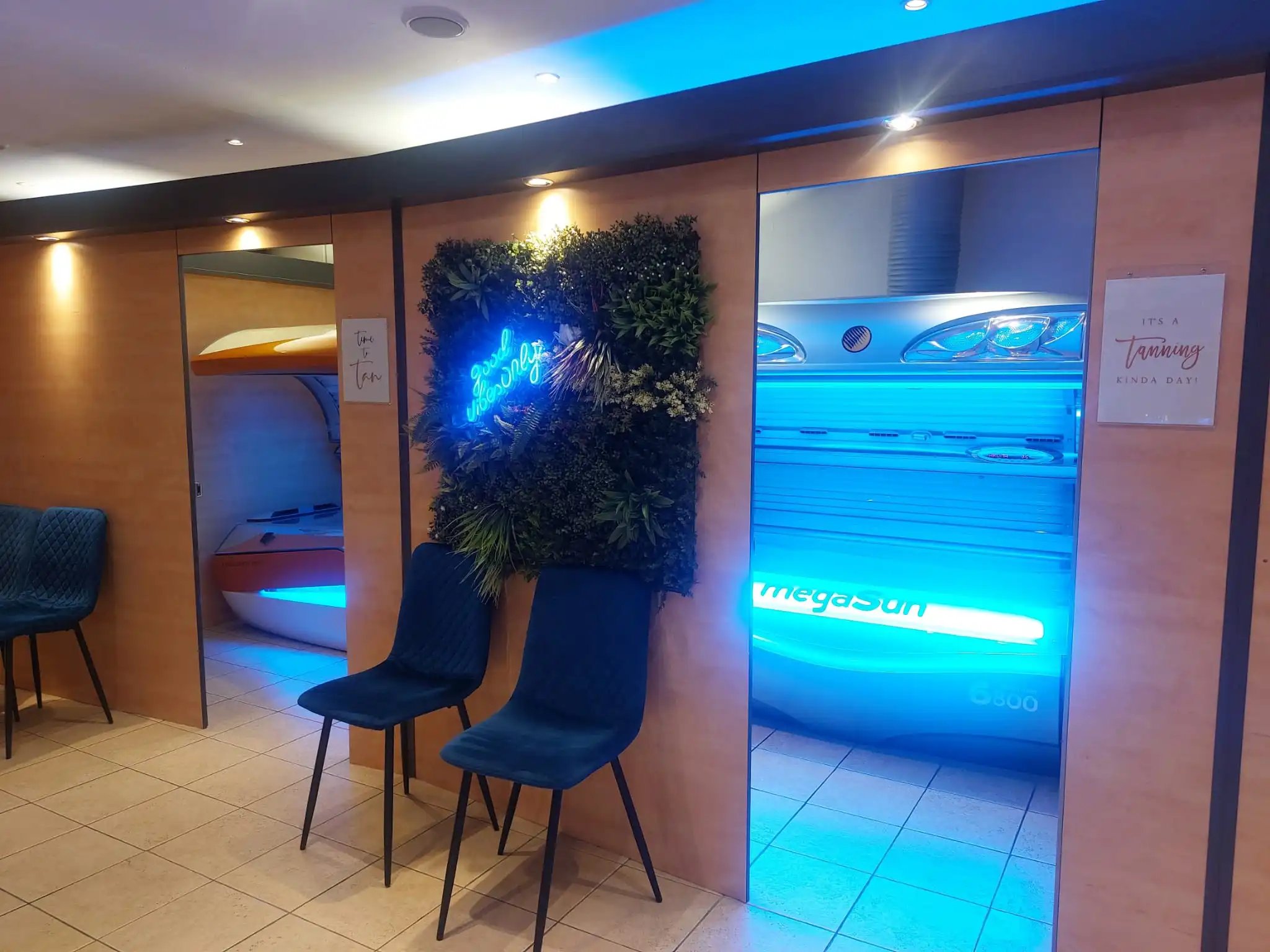 A modern indoor tanning salon with an operational tanning bed emitting blue light, adjacent to decorative greenery with matching lighting and two dark blue chairs for seating.